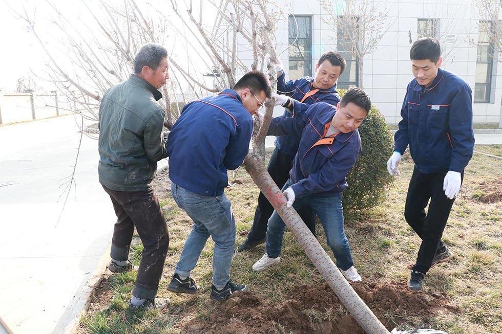 沖床工廠(chǎng)植樹(shù)種樹(shù)